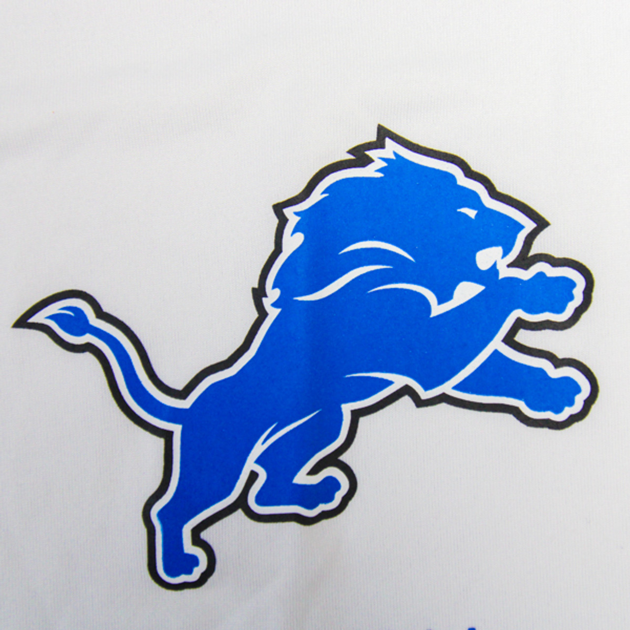 Detroit Lions